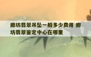 廊坊翡翠吊坠一般多少费用 廊坊翡翠鉴定中心在哪里