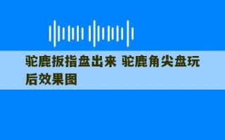 驼鹿扳指盘出来 驼鹿角尖盘玩后效果图