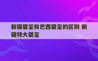 新疆碧玺和巴西碧玺的区别 新疆特大碧玺