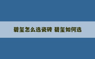 碧玺怎么选瓷砖 碧玺如何选