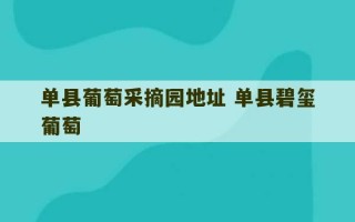 单县葡萄采摘园地址 单县碧玺葡萄