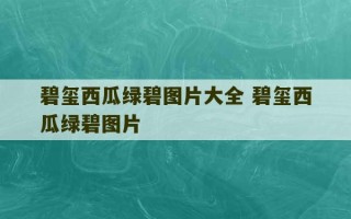 碧玺西瓜绿碧图片大全 碧玺西瓜绿碧图片