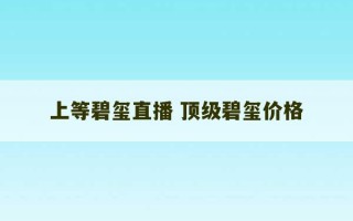 上等碧玺直播 顶级碧玺价格