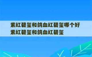 紫红碧玺和鸽血红碧玺哪个好 紫红碧玺和鸽血红碧玺