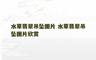 水草翡翠吊坠图片 水草翡翠吊坠图片欣赏