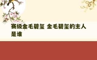 赛级金毛碧玺 金毛碧玺的主人是谁