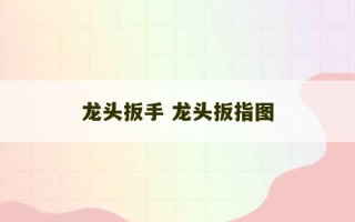 龙头扳手 龙头扳指图