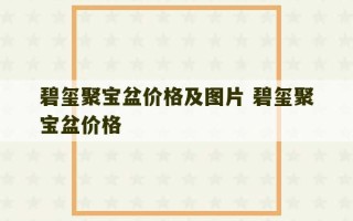 碧玺聚宝盆价格及图片 碧玺聚宝盆价格