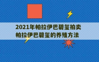 2021年帕拉伊巴碧玺拍卖 帕拉伊巴碧玺的养殖方法