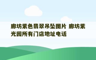 廊坊紫色翡翠吊坠图片 廊坊紫光园所有门店地址电话