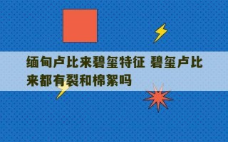 缅甸卢比来碧玺特征 碧玺卢比来都有裂和棉絮吗