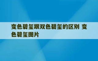 变色碧玺跟双色碧玺的区别 变色碧玺图片