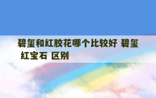 碧玺和红胶花哪个比较好 碧玺 红宝石 区别