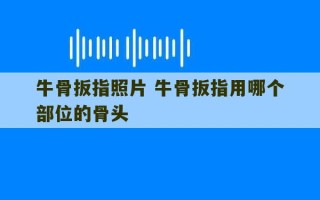 牛骨扳指照片 牛骨扳指用哪个部位的骨头