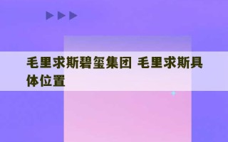 毛里求斯碧玺集团 毛里求斯具体位置