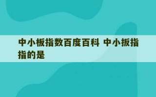 中小板指数百度百科 中小扳指指的是