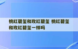 桃红碧玺和玫红碧玺 桃红碧玺和玫红碧玺一样吗