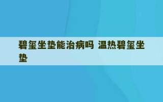 碧玺坐垫能治病吗 温热碧玺坐垫