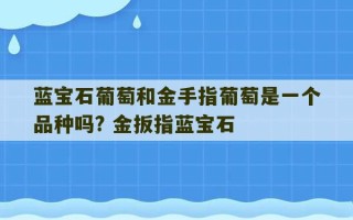 蓝宝石葡萄和金手指葡萄是一个品种吗? 金扳指蓝宝石