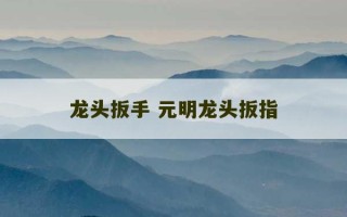 龙头扳手 元明龙头扳指