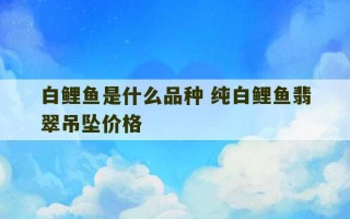 白鲤鱼是什么品种 纯白鲤鱼翡翠吊坠价格