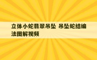 立体小蛇翡翠吊坠 吊坠蛇结编法图解视频