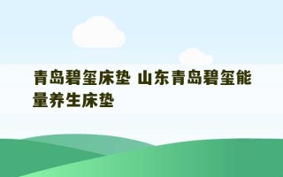 青岛碧玺床垫 山东青岛碧玺能量养生床垫