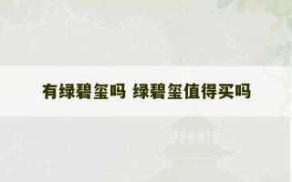 有绿碧玺吗 绿碧玺值得买吗