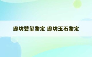 廊坊碧玺鉴定 廊坊玉石鉴定