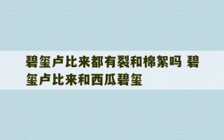 碧玺卢比来都有裂和棉絮吗 碧玺卢比来和西瓜碧玺