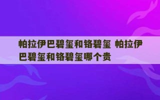 帕拉伊巴碧玺和铬碧玺 帕拉伊巴碧玺和铬碧玺哪个贵