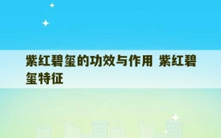 紫红碧玺的功效与作用 紫红碧玺特征