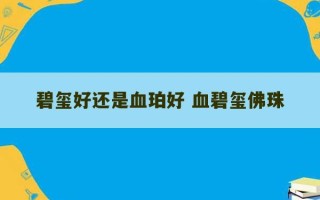 碧玺好还是血珀好 血碧玺佛珠