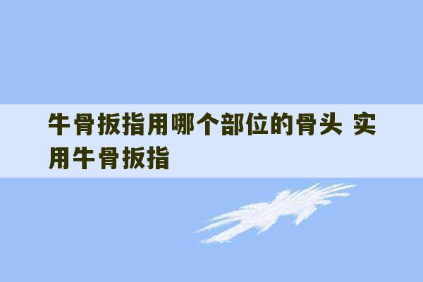 牛骨扳指用哪个部位的骨头 实用牛骨扳指-第1张图片-文玩群