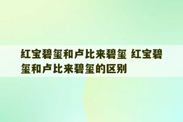 红宝碧玺和卢比来碧玺 红宝碧玺和卢比来碧玺的区别-第1张图片-文玩群