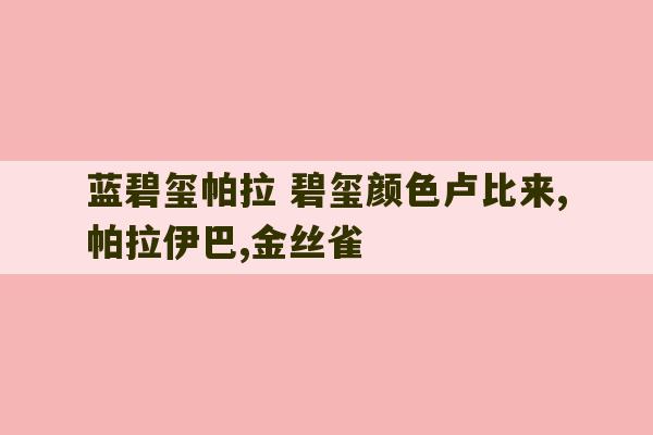 蓝碧玺帕拉 碧玺颜色卢比来,帕拉伊巴,金丝雀-第1张图片-文玩群