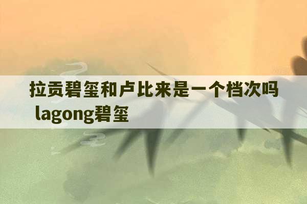 拉贡碧玺和卢比来是一个档次吗 lagong碧玺-第1张图片-文玩群