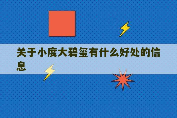 关于小度大碧玺有什么好处的信息-第1张图片-文玩群