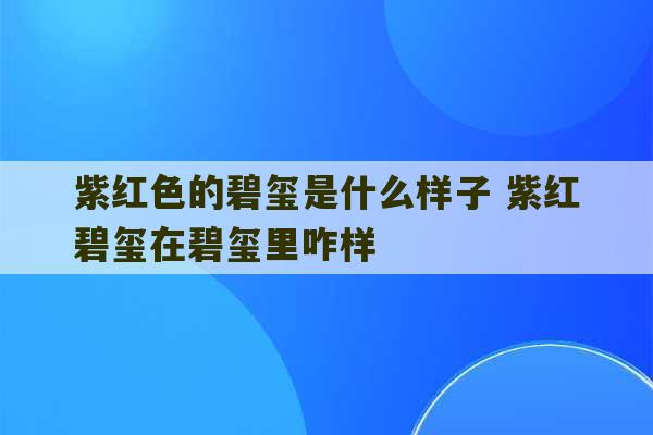 紫红色的碧玺是什么样子 紫红碧玺在碧玺里咋样-第1张图片-文玩群