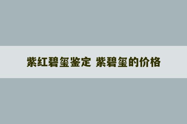 紫红碧玺鉴定 紫碧玺的价格-第1张图片-文玩群