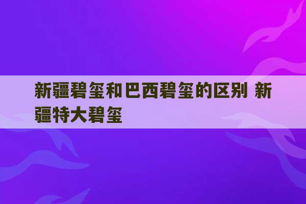 新疆碧玺和巴西碧玺的区别 新疆特大碧玺-第1张图片-文玩群