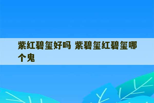 紫红碧玺好吗 紫碧玺红碧玺哪个鬼-第1张图片-文玩群