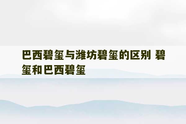 巴西碧玺与潍坊碧玺的区别 碧玺和巴西碧玺-第1张图片-文玩群