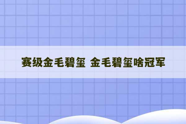 赛级金毛碧玺 金毛碧玺啥冠军-第1张图片-文玩群