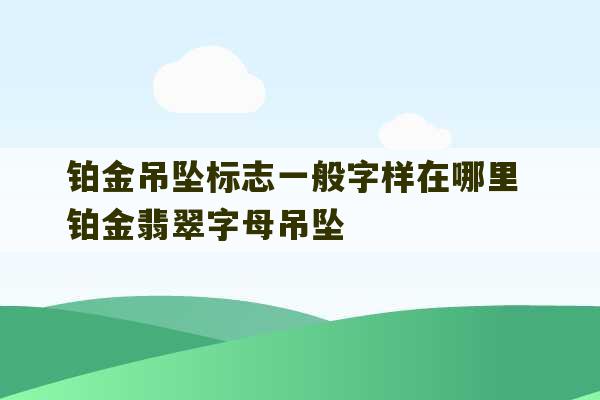 铂金吊坠标志一般字样在哪里 铂金翡翠字母吊坠-第1张图片-文玩群