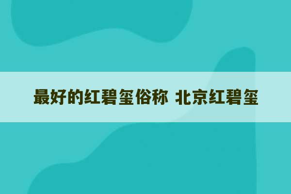 最好的红碧玺俗称 北京红碧玺-第1张图片-文玩群