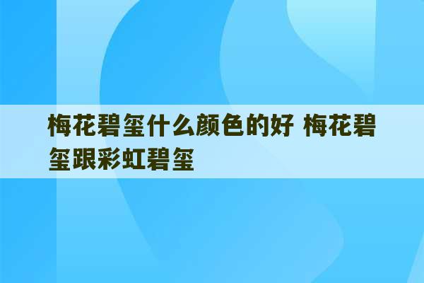 梅花碧玺什么颜色的好 梅花碧玺跟彩虹碧玺-第1张图片-文玩群