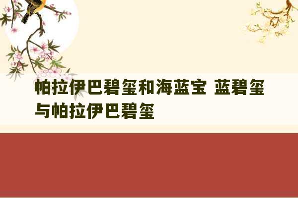 帕拉伊巴碧玺和海蓝宝 蓝碧玺与帕拉伊巴碧玺-第1张图片-文玩群