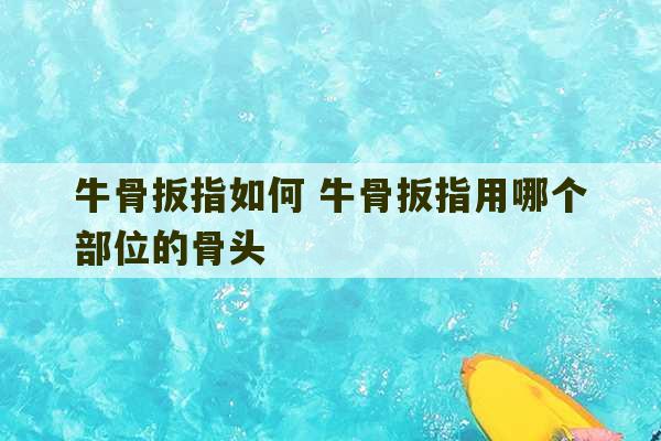 牛骨扳指如何 牛骨扳指用哪个部位的骨头-第1张图片-文玩群