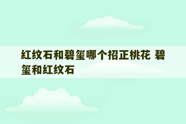 红纹石和碧玺哪个招正桃花 碧玺和红纹石-第1张图片-文玩群